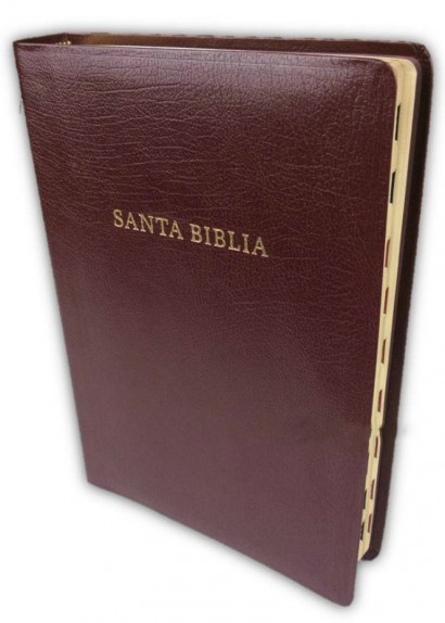 Biblia Letra Super Gigante Borgoña Índice
Reina Valera 1960