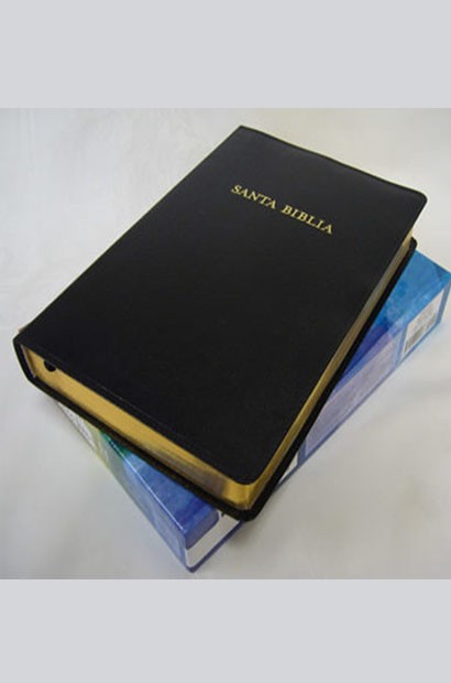 Biblia De Estudio Arco Iris RV 1960 Imitación Piel sin índice
