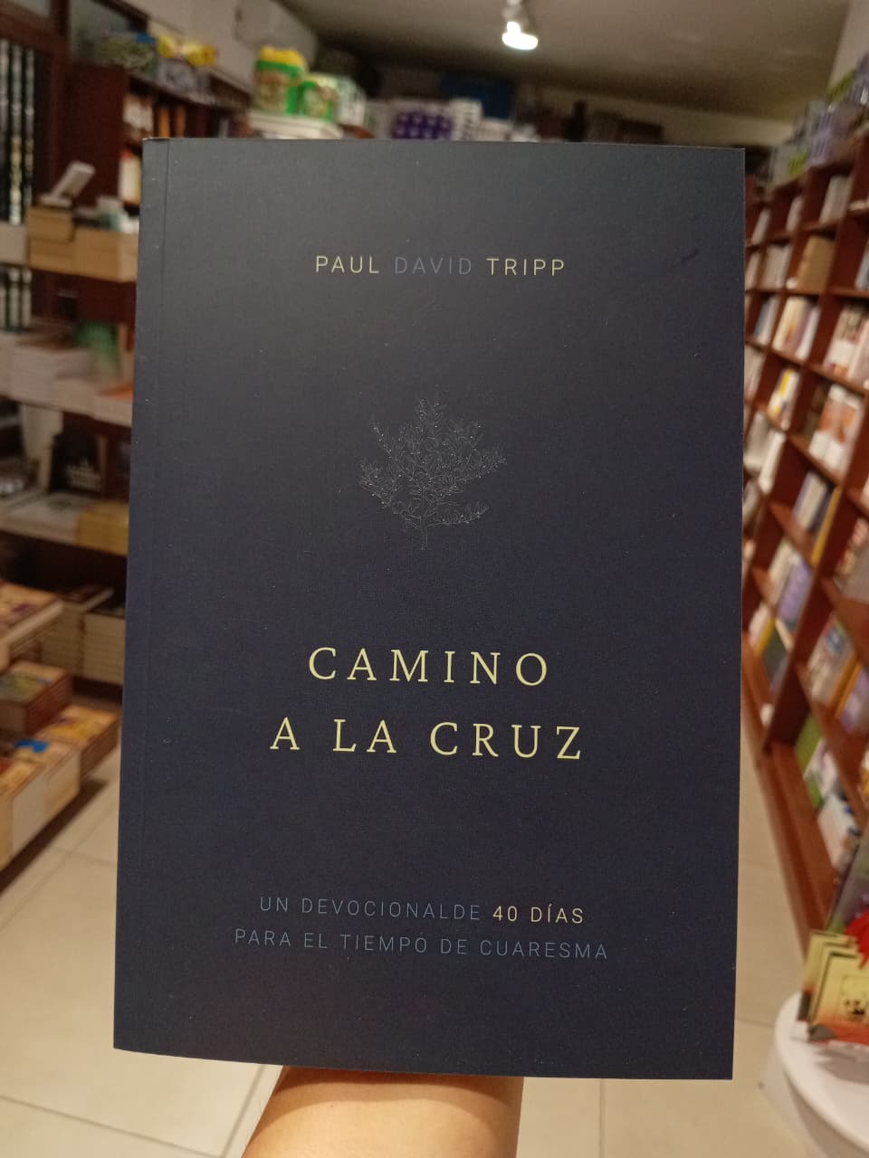 Camino a la Cruz - devocional de 40 días para el tiempo de Cuaresma